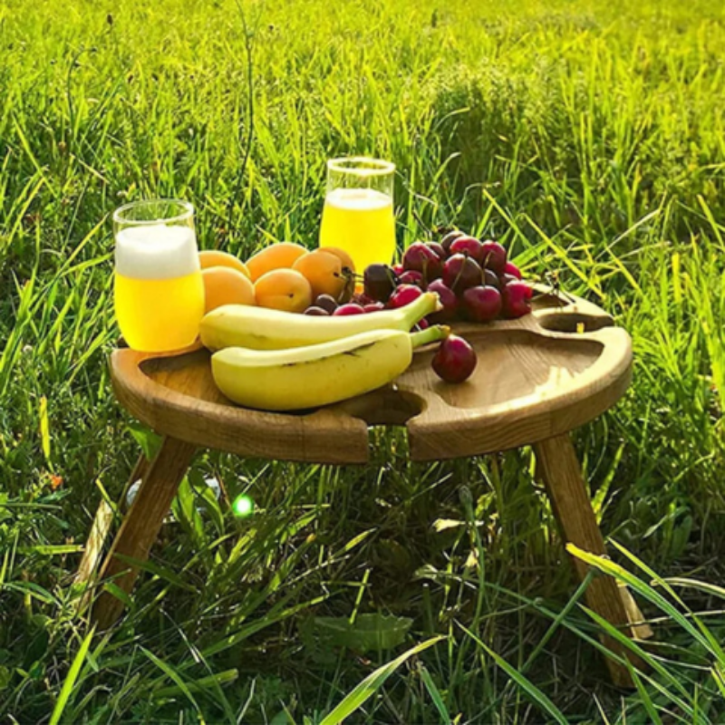 PicnicMate Compact Folding Picnic Table